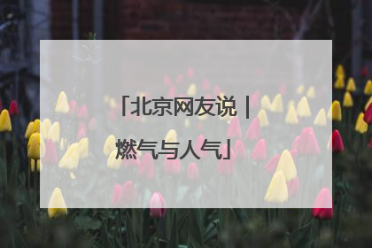 北京网友说｜燃气与人气
