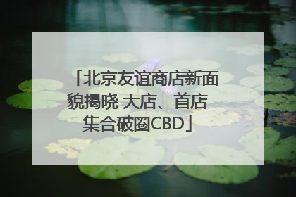 北京友谊商店新面貌揭晓 大店、首店集合破圈CBD