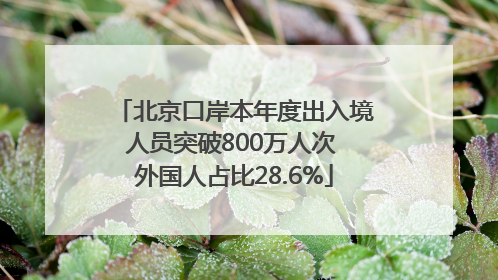 北京口岸本年度出入境人员突破800万人次 外国人占比28.6%