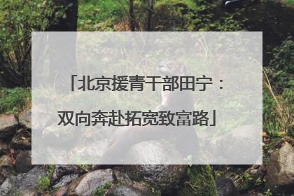 北京援青干部田宁：双向奔赴拓宽致富路