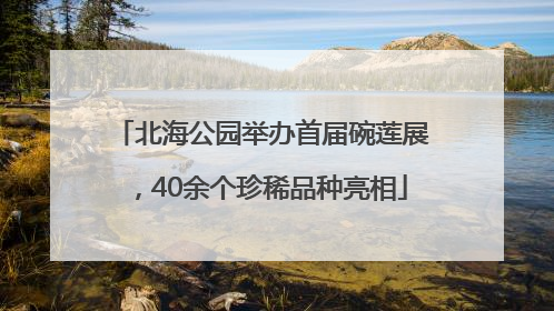 北海公园举办首届碗莲展，40余个珍稀品种亮相