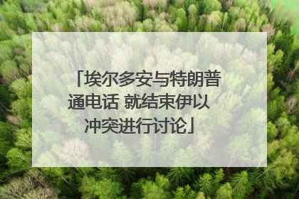 埃尔多安与特朗普通电话 就结束伊以冲突进行讨论