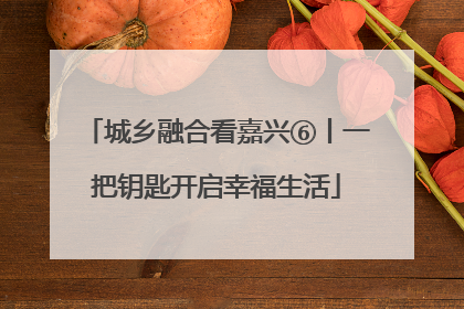 城乡融合看嘉兴⑥丨一把钥匙开启幸福生活