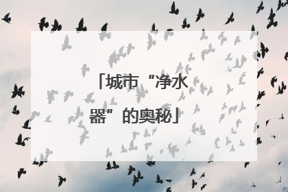 城市“净水器”的奥秘