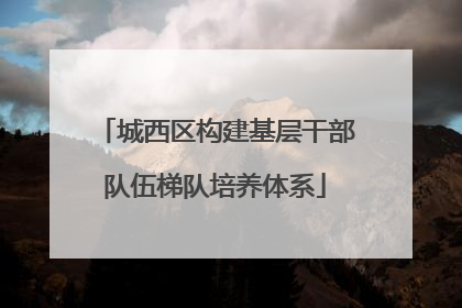 城西区构建基层干部队伍梯队培养体系