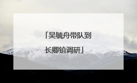 吴毓舟带队到长卿镇调研