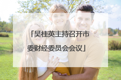 吴桂英主持召开市委财经委员会会议