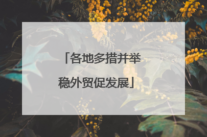 各地多措并举稳外贸促发展