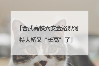 合武高铁六安金裕淠河特大桥又“长高”了