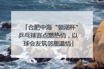 合肥中海“领潮杯”乒乓球赛点燃热情，以球会友筑邻里温情