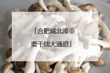 合肥城北添重要干线大通道