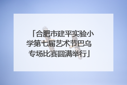 合肥市建平实验小学第七届艺术节巴乌专场比赛圆满举行