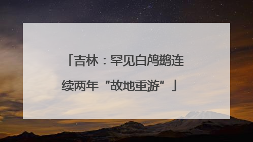 吉林：罕见白鸬鹚连续两年“故地重游”
