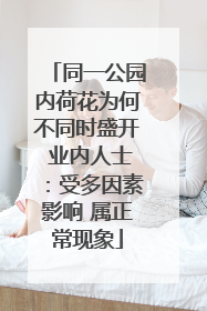 同一公园内荷花为何不同时盛开 业内人士：受多因素影响 属正常现象