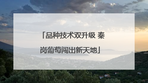 品种技术双升级 秦岗葡萄闯出新天地