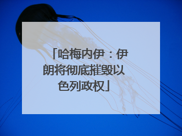 哈梅内伊：伊朗将彻底摧毁以色列政权