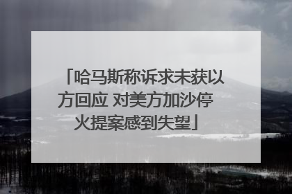 哈马斯称诉求未获以方回应 对美方加沙停火提案感到失望