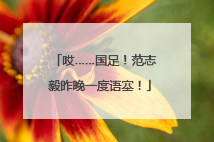哎……国足！范志毅昨晚一度语塞！