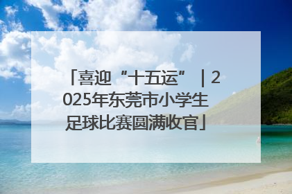喜迎“十五运”｜2025年东莞市小学生足球比赛圆满收官