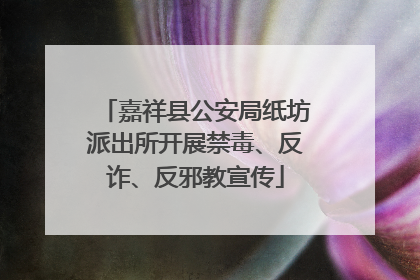 嘉祥县公安局纸坊派出所开展禁毒、反诈、反邪教宣传