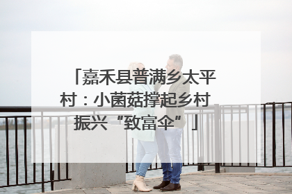 嘉禾县普满乡太平村：小菌菇撑起乡村振兴“致富伞”