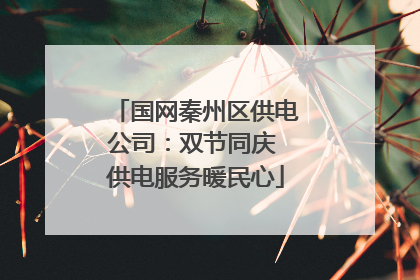 国网秦州区供电公司：双节同庆 供电服务暖民心