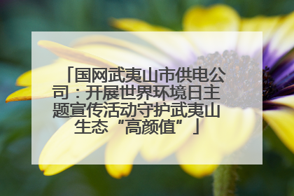 国网武夷山市供电公司：开展世界环境日主题宣传活动守护武夷山生态“高颜值”