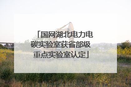 国网湖北电力电碳实验室获省部级重点实验室认定