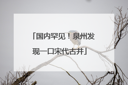 国内罕见！泉州发现一口宋代古井