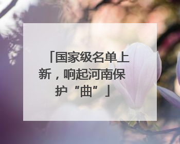 国家级名单上新，响起河南保护“曲”