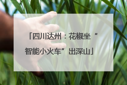 四川达州：花椒坐“智能小火车”出深山
