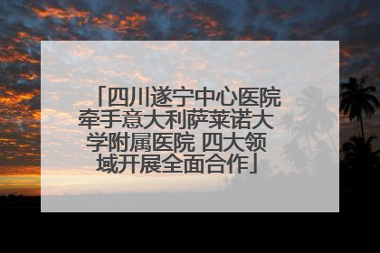 四川遂宁中心医院牵手意大利萨莱诺大学附属医院 四大领域开展全面合作