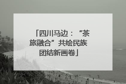 四川马边：“茶旅融合”共绘民族团结新画卷