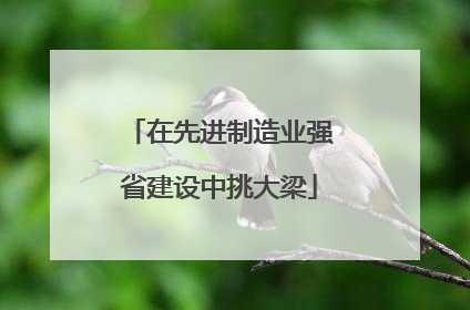 在先进制造业强省建设中挑大梁