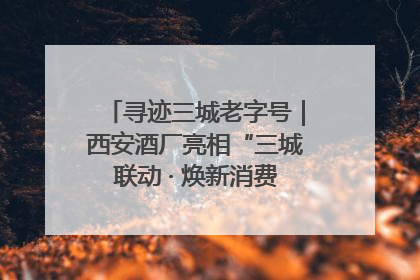 寻迹三城老字号｜西安酒厂亮相“三城联动 · 焕新消费”老字号嘉年华 共话品牌传承与创新