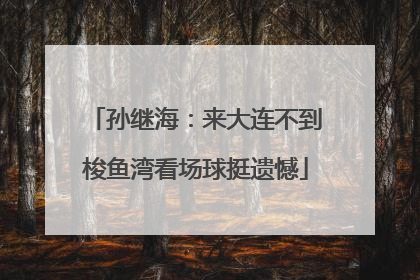 孙继海：来大连不到梭鱼湾看场球挺遗憾