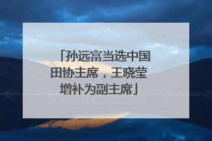 孙远富当选中国田协主席，王晓莹增补为副主席