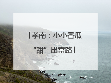 孝南：小小香瓜 “甜”出富路