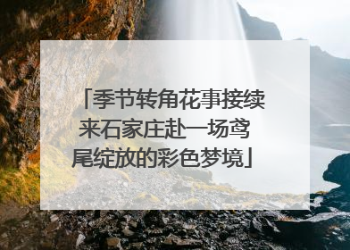 季节转角花事接续 来石家庄赴一场鸢尾绽放的彩色梦境