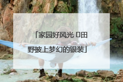 家园好风光 ⎮田野披上梦幻的银装