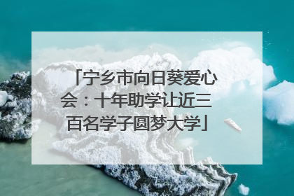 宁乡市向日葵爱心会：十年助学让近三百名学子圆梦大学