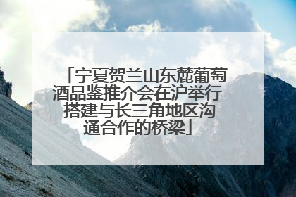 宁夏贺兰山东麓葡萄酒品鉴推介会在沪举行 搭建与长三角地区沟通合作的桥梁