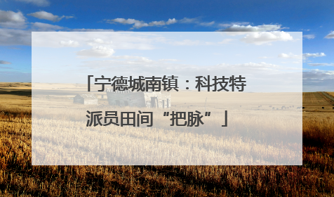 宁德城南镇：科技特派员田间“把脉”