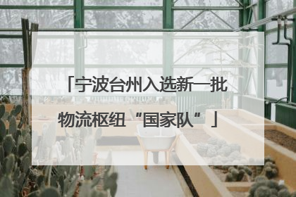 宁波台州入选新一批物流枢纽“国家队”