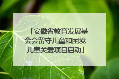 安徽省教育发展基金会留守儿童和困境儿童关爱项目启动