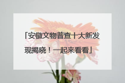 安徽文物普查十大新发现揭晓！一起来看看