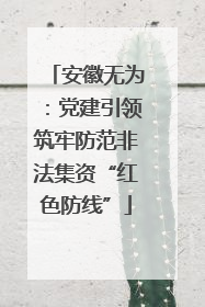 安徽无为：党建引领筑牢防范非法集资“红色防线”