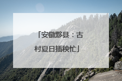 安徽黟县：古村夏日插秧忙