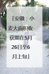 安徽：小麦大面积收获期在5月26日至6月上旬