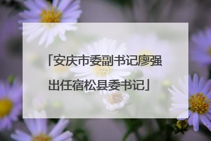 安庆市委副书记廖强出任宿松县委书记